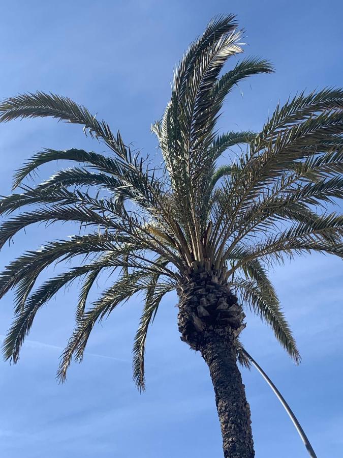 Apartamento De Ensueno Lägenhet Garrucha Exteriör bild